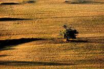 MAREMONTI Pizzeria e Cucina