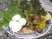 Pratos de dieta da sidineia