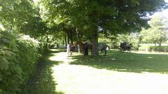 Camping du Pont Vert