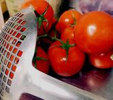 Trattoria Annarè - Specialità Pesce