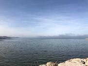 Babordo Ristorante Pizzeria