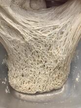 Panificio S. Antonio