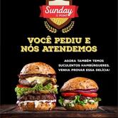 Sunday O Point Nova Hartz RS