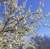 Bar Castoro Da Monique