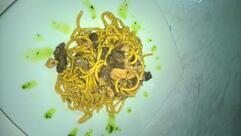 Pizzeria Trattoria Guru