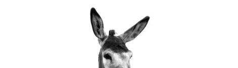 Bioweingut Norbert Stock