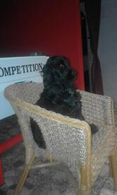 Café Buena Suerte Rumeria