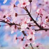 Ristorante Agriturismo Casa Mia