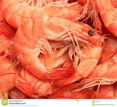 Camarão Ninja Pouso Alegre MG