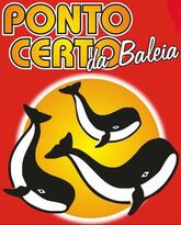 Ponto Certo da Baleia