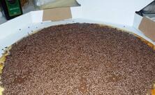 Pizzaria Carioca Delivery de Pizza e Massas Jaboatão dos Guararapes PE