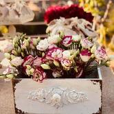 Agriturismo Antico Frantoio