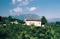 Restaurant Brasserie des Terreaux