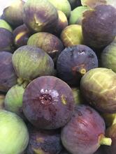 Il Circo Della Luna Vernio