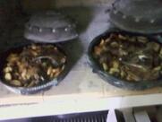 Konoba Montagna Ravna Gora