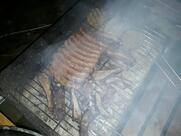 DUE DI PICCHE BAR & COCKTAIL