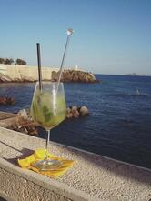 Il Clandestino della Lega