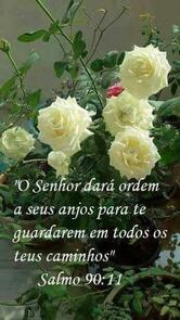 Espetinho Canto Dos Amigos