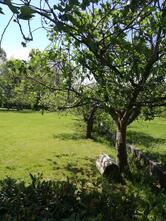 Ristorante Ai Cappuccini