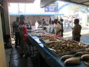Vellore fish market
