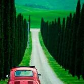 Da Adriano Pizzeria e Trattoria