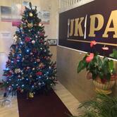 Jk Palace Ristorante Indiano & Pizzeria