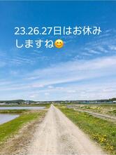 メルティングポット