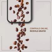 Lollocaffè - Dical s.r.l.