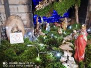 Passo di forca d'acero