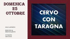 La Rocca S.N.C. Di Ronchi Mariangela & C.