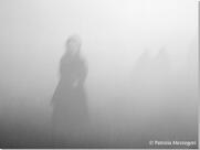 Argilla Argillani Prodotti Tipici & Funghi Porcini