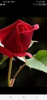 Enoteca wine bar L'Antica Pietra