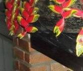 Restaurante Maria Bonita