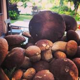 Agriturismo Nonna Du