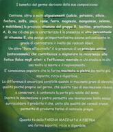 Pizzeria Ristorante Titanic