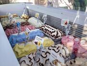 Beach bar "Croatia" - Duće