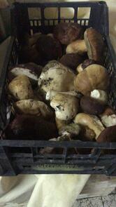 Pizzeria Ristorante Il Rustico