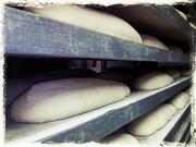 Il Fornaio Ecologico - Panificio Partemi Luigi