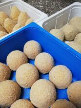 Pizzeria la Golosina