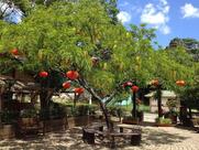 Estação Do Sino I Granja Vianna