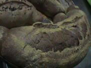 Dellamara Vegan Alimentação Saudável