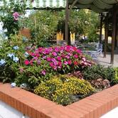 LOCANDA I TAROCCHI RISTO ALLOGGI & PIZZA