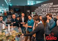 Gallo Engineering & Bar Solutions