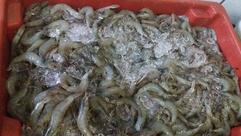 Lyoto Sushi-bar e Temakeria