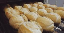 Padaria Rainha - Indústria de pães