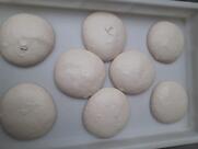 Lo Scrocchiaro Pizzeria