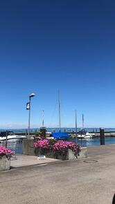 Pizzeria Restaurant Roma