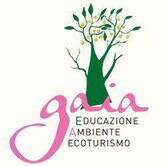 Ristoro Dei Paladini Tornareccio