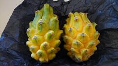 Lanchonete e Bar do Ivo