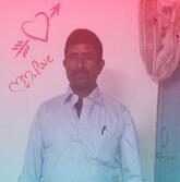 Nellai Saravana Bhava